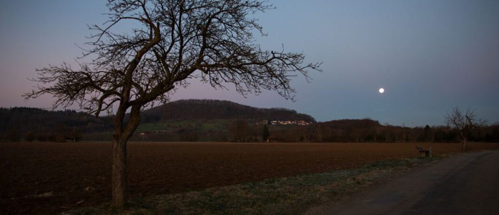 סרום הלילה שלנו